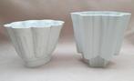 Shelley England - Mal (2) Edwardiaanse stijl - Jelly -