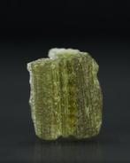 Diep olijfgroen Moldaviet • Geen reserveprijs • Tree Truck