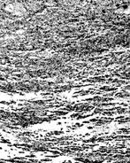 Pierre Cuq Touré - La Gourmandise: Troisième cercle des