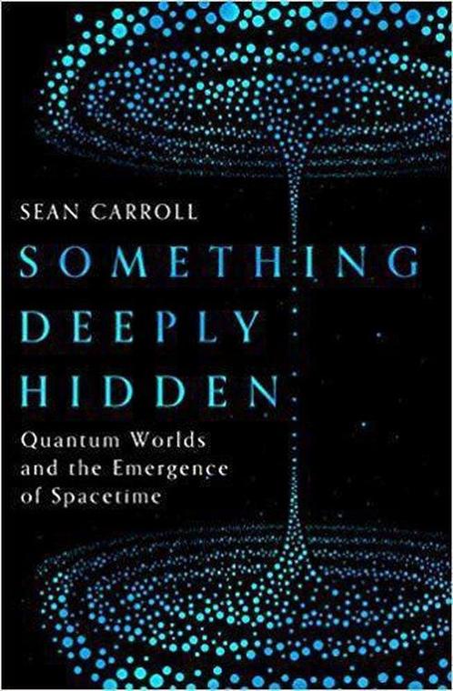 Something Deeply Hidden 9781786076335 Sean Carroll, Boeken, Overige Boeken, Gelezen, Verzenden