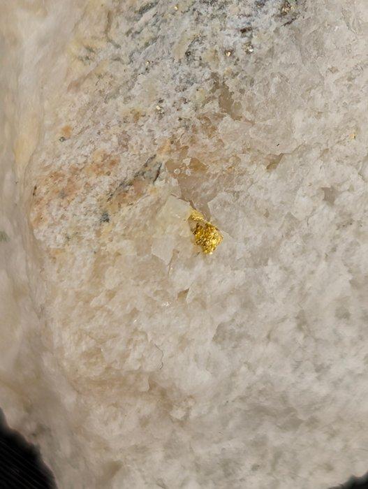 Spectaculair Italiaans goud op kwarts en originele matrix., Verzamelen, Mineralen en Fossielen