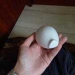 Rosenthal - Figurine - Rosenthal collectible porcelain pig, Antiek en Kunst