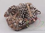 Dennenappels Forest mix White Tip Net 500 gram, Nieuw