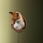 Vos Taxidermie Opgezette Dieren By Max, Verzamelen, Ophalen of Verzenden, Nieuw, Wild dier, Opgezet dier