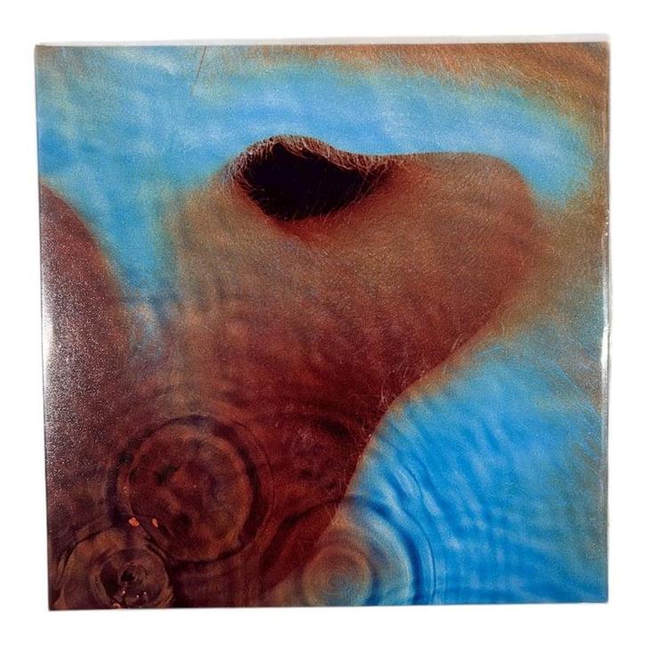 Pink Floyd Meddle Vinyl (LP), Cd's en Dvd's, Vinyl | Overige Vinyl, Verzenden