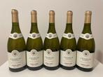 2020 Moillard - Bourgogne, Chablis 1er Cru - 5 Flessen (0.75, Verzamelen, Wijnen, Nieuw