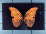 Mike Blackarts - Orange Butterfly with diamonds plexiglass