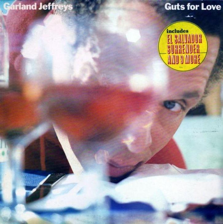 Garland Jeffreys – Guts For Love LP, CD & DVD, Vinyles | Rock, Envoi