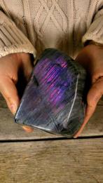 Zeldzame kleur Kameleon - violet + paars + roze kleuren, Nieuw