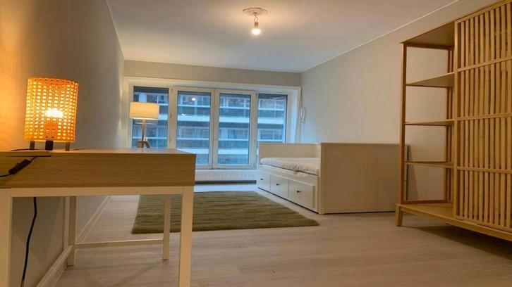 Appartement en Avenue de la Brabançonne, Brussels, Immo, Appartements & Studios à louer, 20 à 35 m², Bruxelles