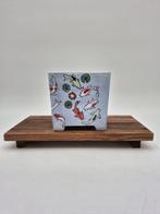 Met de hand getekende bonsaipot - Hoogte (boom): 12 cm -