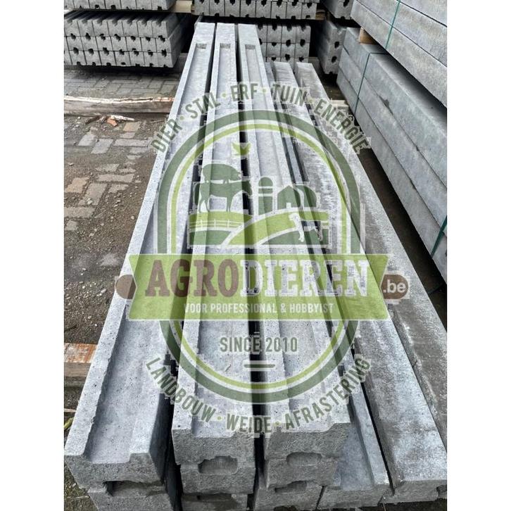 Betonpaal - betonnen tussenpaal - grijs - h 248cm gleuf 4cm, Diensten en Vakmensen, Ongediertebestrijding