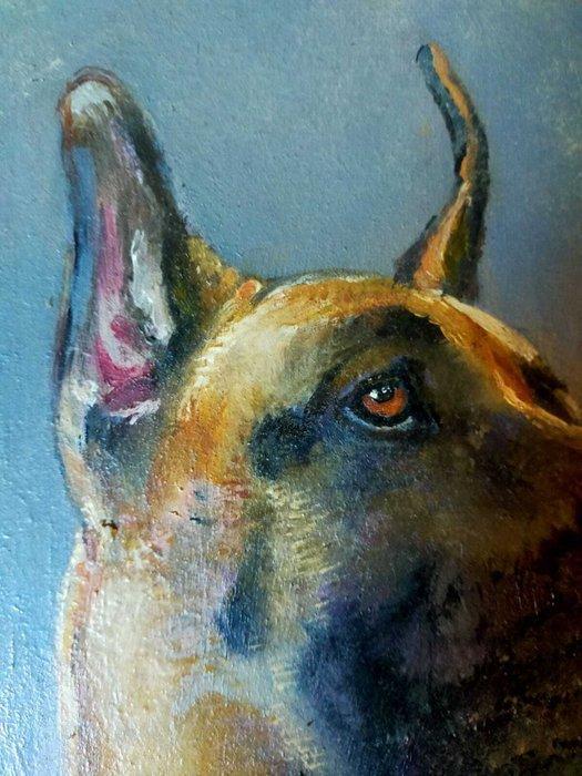 Caffaro Rore - Cane, Antiquités & Art, Art | Peinture | Moderne