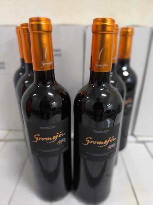 2015 Bodegas Valle de Monzón, Gromejón - Ribera del Duero, Collections, Vins