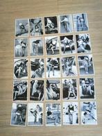 Erotique - Lot de 56 cartes postales - Cartes postales (56)