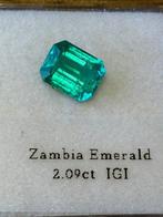 1 pcs Vert Émeraude - 2.09 ct - International Gemological, Nieuw
