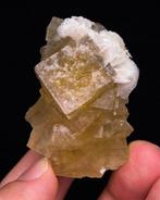 Heldergele fluoriet Met bariet - Hoogte: 4.9 cm - Breedte: