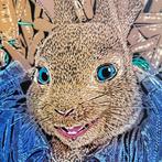 Adey - Peter Rabbit