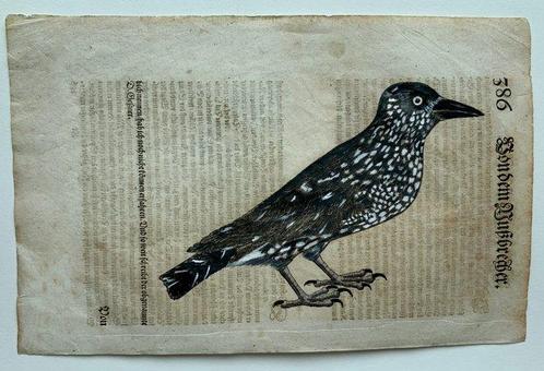 Conrad Gesner - Vogelbuch - 1598, Antiek en Kunst, Antiek | Boeken en Manuscripten