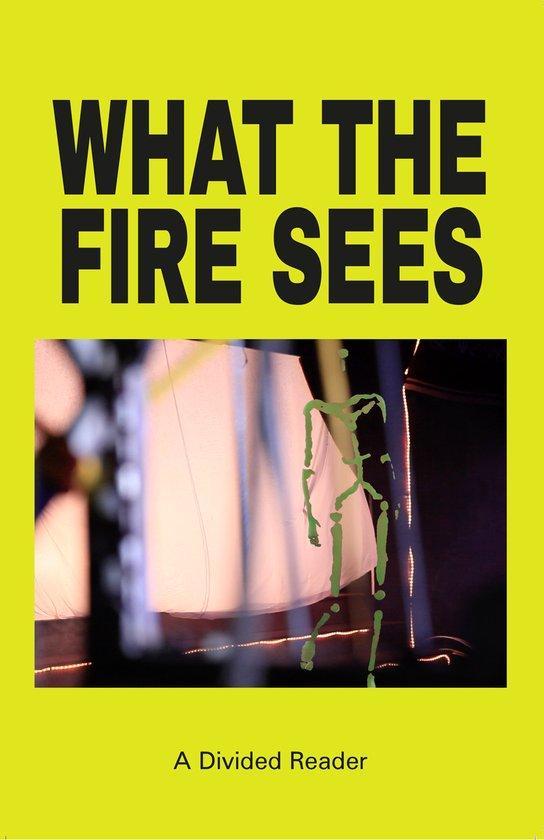 What The Fire Sees 9781916425040, Boeken, Taal | Engels, Gelezen, Verzenden