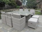 Veiling - Diningset/Tuinset incl. kussens 11-delig