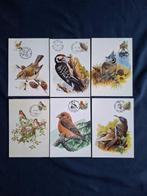 Belgique 1985/2003 - Vogels Andre Buzin sélection