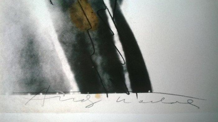 Andy Warhol - Andy Warhol - Mick Jagger - Jaren 2010, Antiek en Kunst, Kunst | Tekeningen en Fotografie