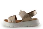 Geox Sandalen in maat 37 Goud, Kleding | Dames, Schoenen, Geox, Overige kleuren, Verzenden, Sandalen of Muiltjes
