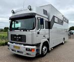 Veiling: paardenwagen MAN 19 -314 (Marge)