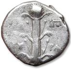 Kyrenaica, Kyrene. Time of Magas. Didrachm circa 294-275