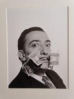 Philippe Halsman - Dali portrait, 1954, Antiek en Kunst, Kunst | Schilderijen | Modern