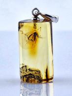 Ambre - Rare Baltic Amber MOSQUITO Fossil - Column Pendant -
