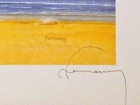 Hermann - 1 Offset Print - Jeremiah - Delta, Boeken, Strips | Comics