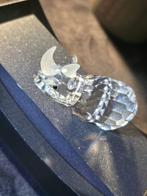 Swarovski - Figurine - Rhino big - 117900 - Box +