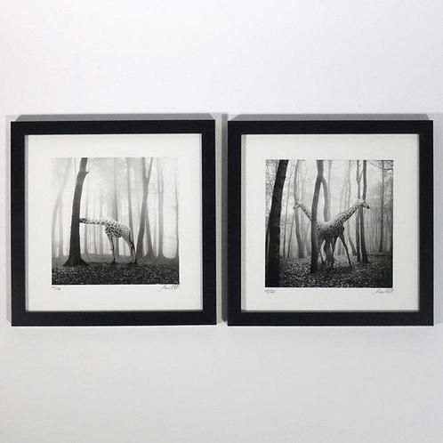 Frank Machalowski - Two framed photographs from the series, Antiek en Kunst, Kunst | Designobjecten