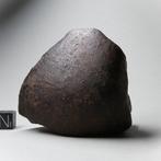 NWA ongeclassificeerd Sahara Georiënteerde stenen meteoriet.