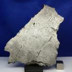 XL SAINT AUBIN (Frankrijk, 1968). IJZEREN meteoriet., Collections