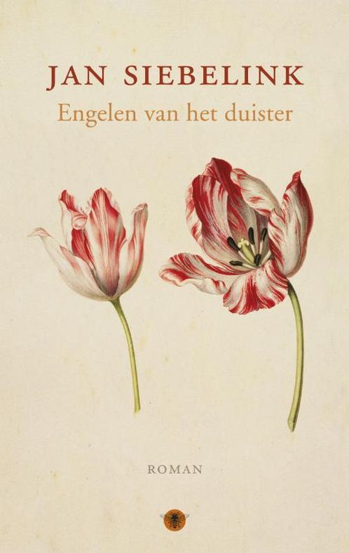 Engelen van het duister 9789023454151 Jan Siebelink, Livres, Romans, Envoi