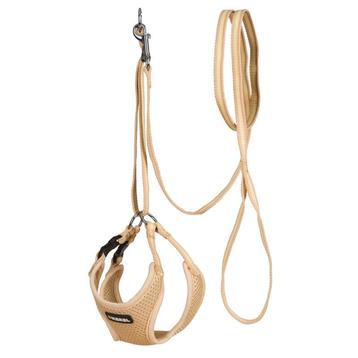 Harnais pour chiots, avec laisse, beige, 30-50cm - 10mm -, Neuf
