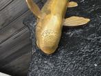 Beeld, Vintage Carp Fish - 0 cm - Messing, Antiek en Kunst