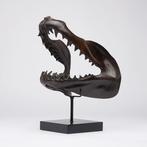 Sculpture, Finest detail, bronze-cast Mako Shark Jaws -