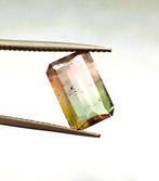 Sans Prix de Réserve - 1 pcs Multicolore Tourmaline - 2.28, Nieuw
