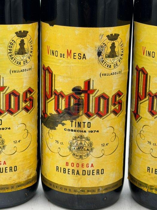 1974 Bodega Ribera Duero, Protos Tinto - Ribera del Duero, Verzamelen, Wijnen