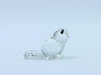 Swarovski - Figuur - Swarovski - Bever (Boxed + certificate)