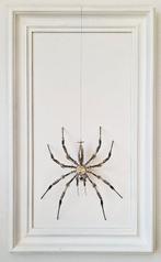 Peter Szucsy - Steampunk Spider Princess Adele