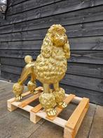 Beeld, XL Poodle Dog - 78 cm - Hars, Antiek en Kunst