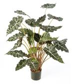 Kunstplant Alocasia 110 cm, Maison & Meubles, Plantes d'intérieur, Verzenden