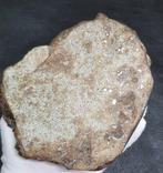 Niet-geclassificeerde gewone chondriet Monster!! - 2175 g