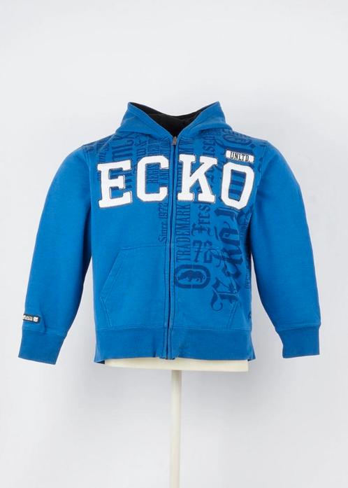 Vintage Regular Ecko Hoodie in Blue size L, Kleding | Heren, Truien en Vesten, Ophalen of Verzenden