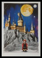 Emma Wildfang - Harry Potter – Series Lego Cinematic